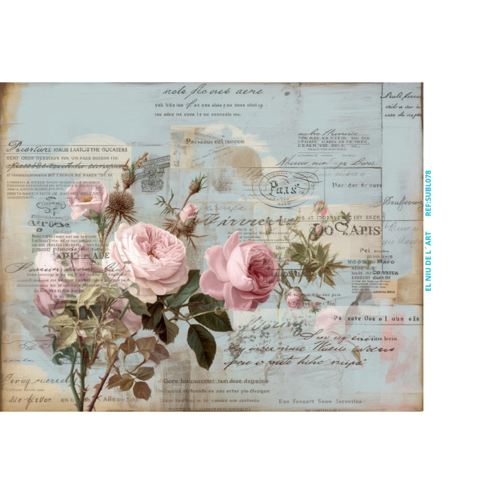 copy of 